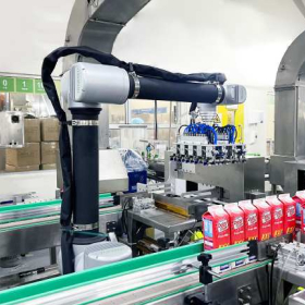 Cobot Palletizer for Food