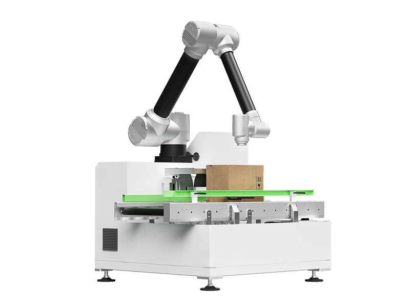 Case Packer Robot